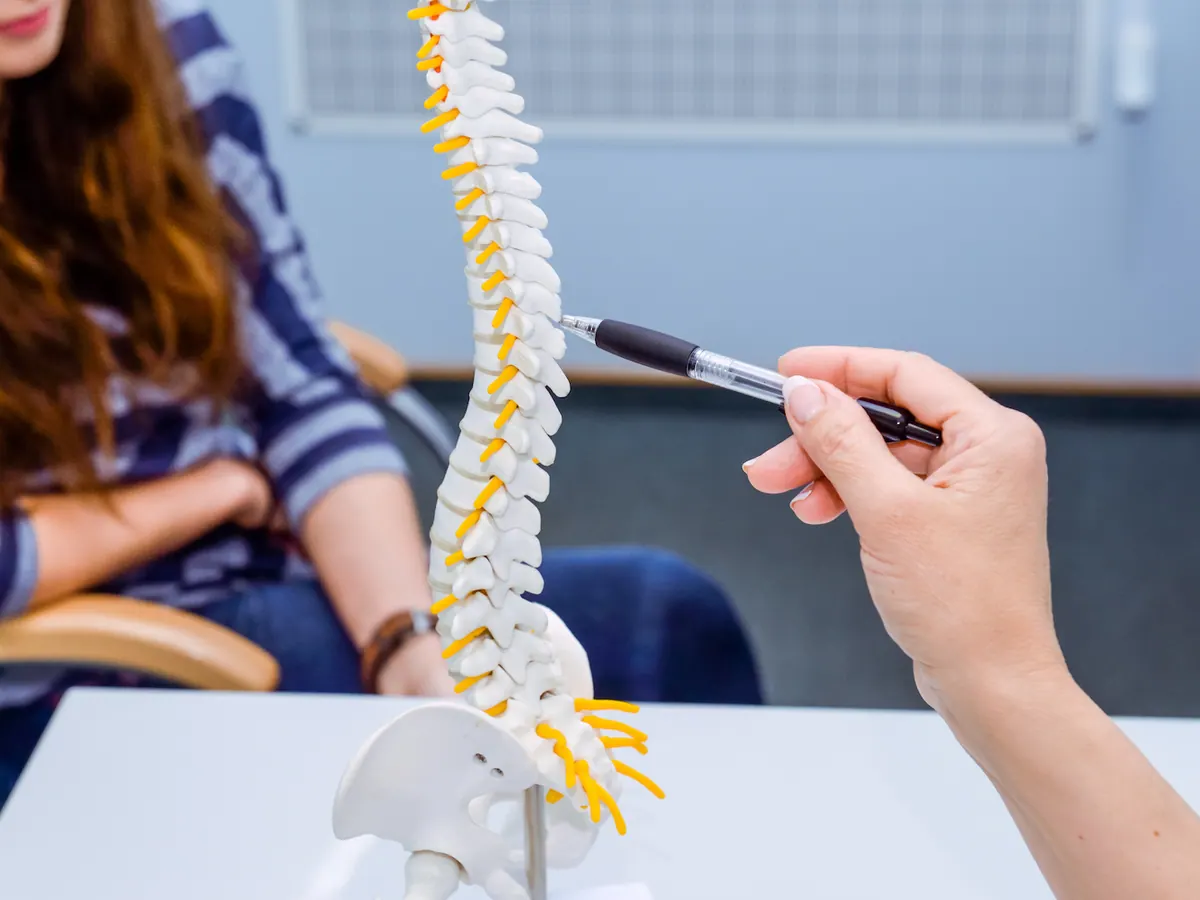 Chiropractor explaining a spine model to a patient