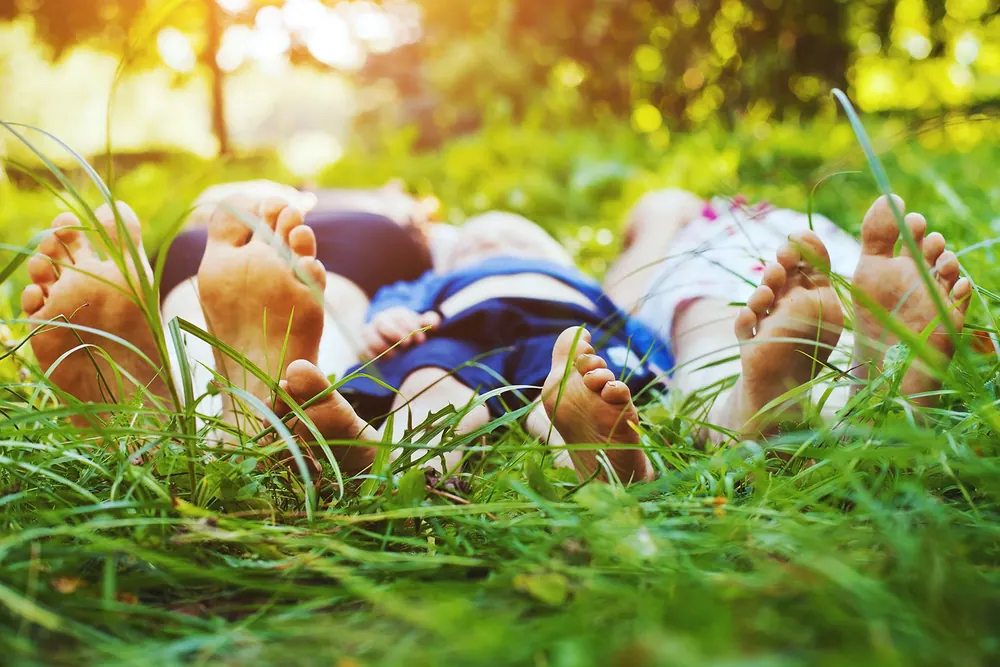Planning an ongoing wellness plan
