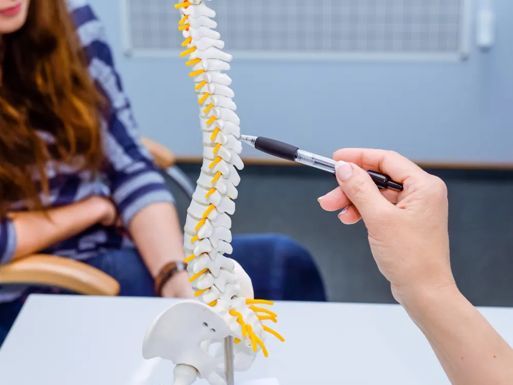 How Spinal Decompression works at HealthSource of Harvest